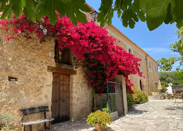 Agroturismo Can Guillo