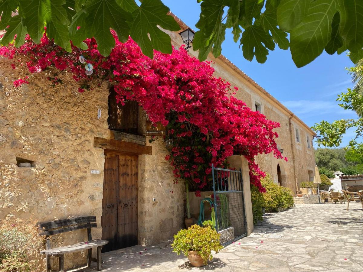 Farm stay Guillo Pollenca