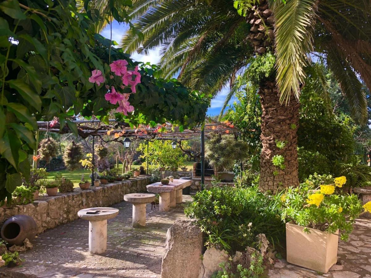 Guillo Farm stay Pollenca